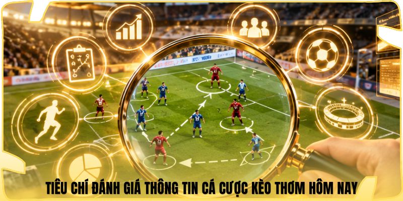 Tiêu chí đánh giá thông tin cá cược kèo thơm hôm nay